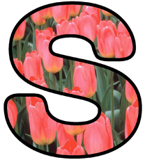 Dekobuchstaben-Tulpe_S.jpg